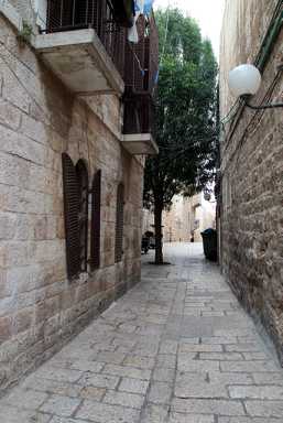 IMG_4269.JPG