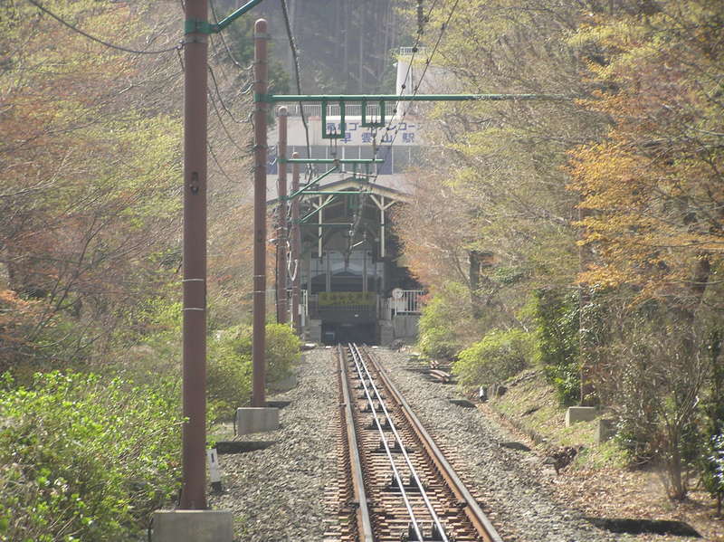 p4240260.jpg