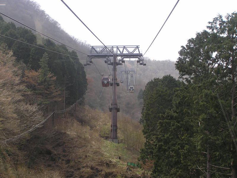 p4240264.jpg