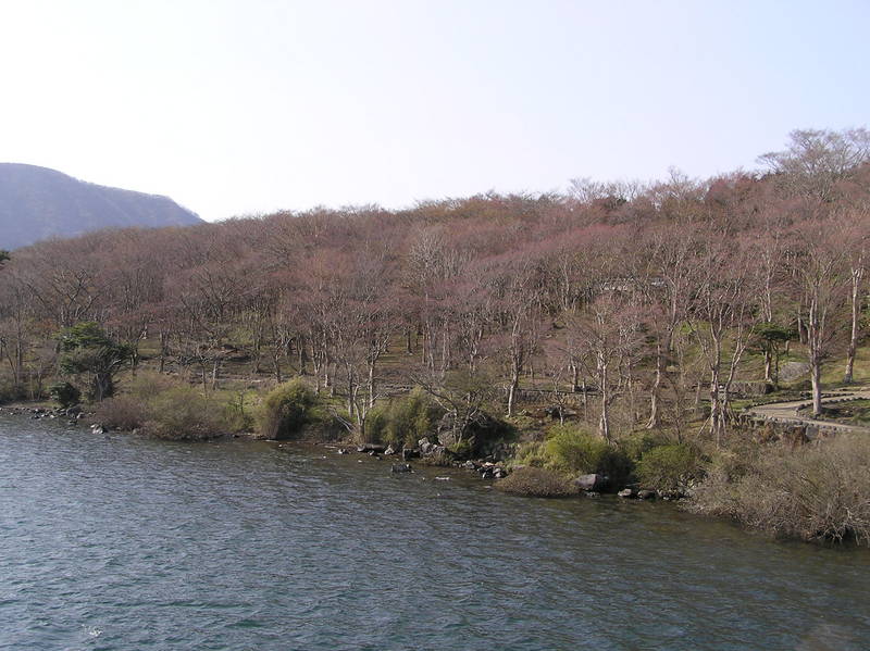 p4240305.jpg