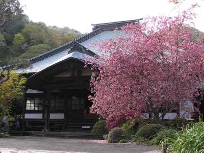 p4230221.jpg