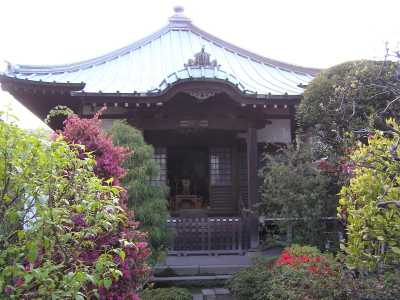 p4230250.jpg