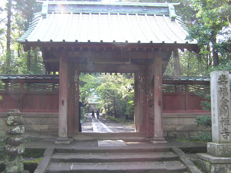 p4230194.jpg