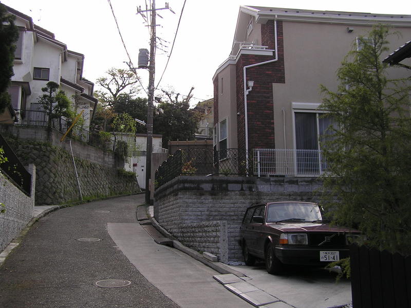 p4230211.jpg