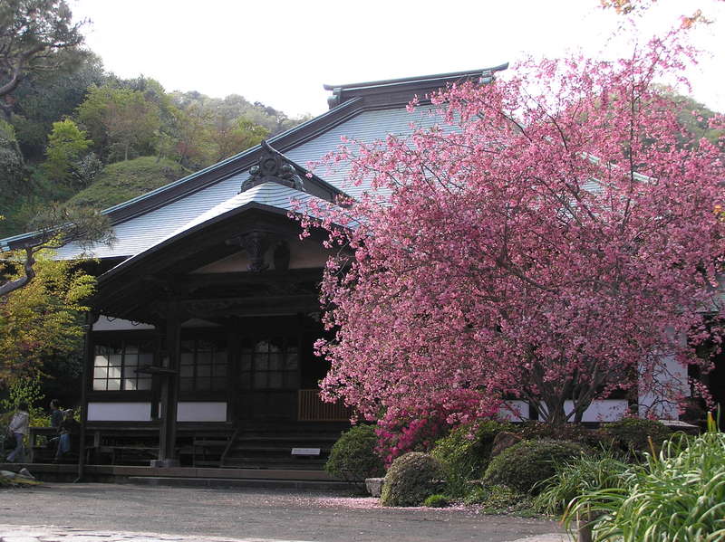p4230221.jpg