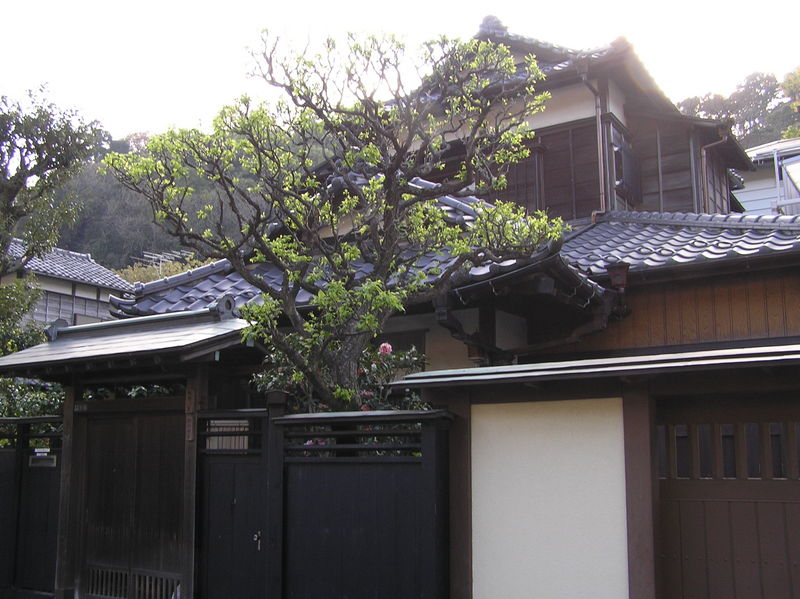 p4230239.jpg