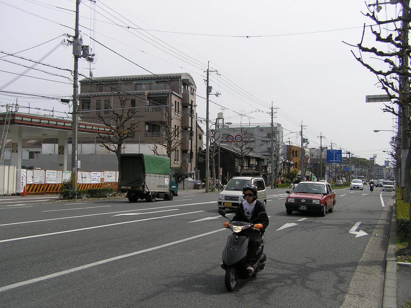 p4210034.jpg