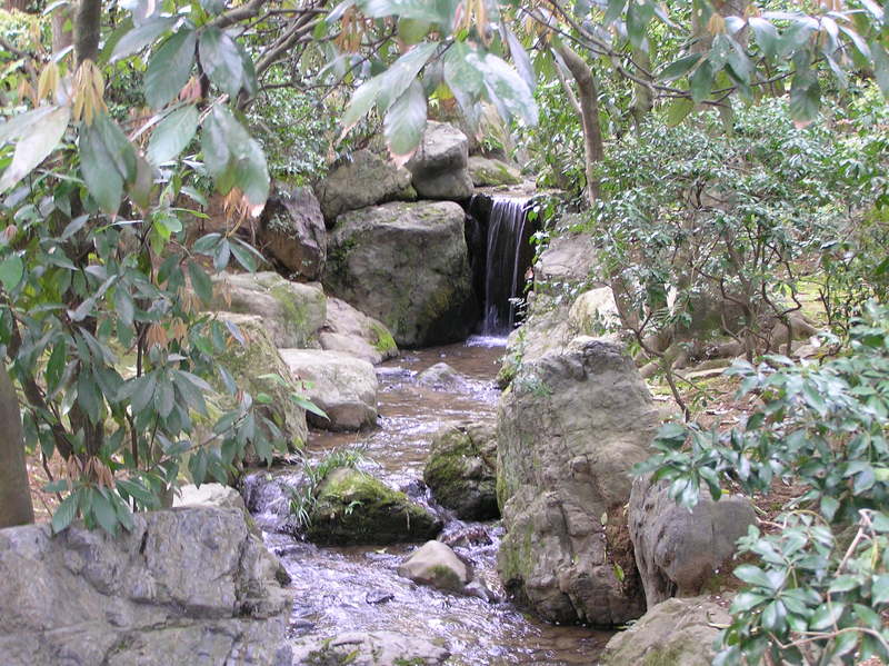 p4210053.jpg