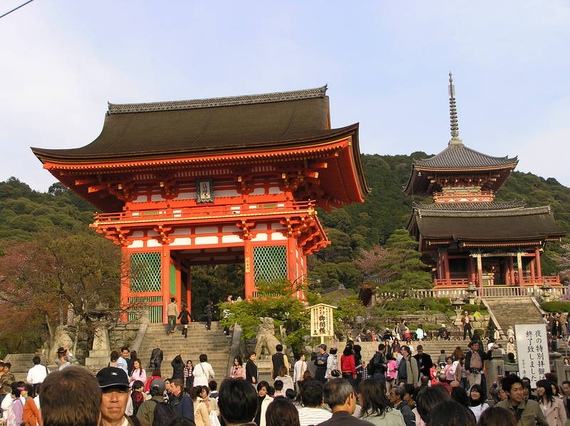 p4210070.jpg