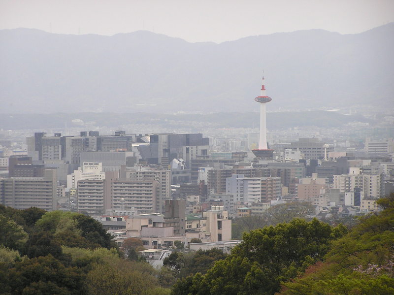 p4210087.jpg