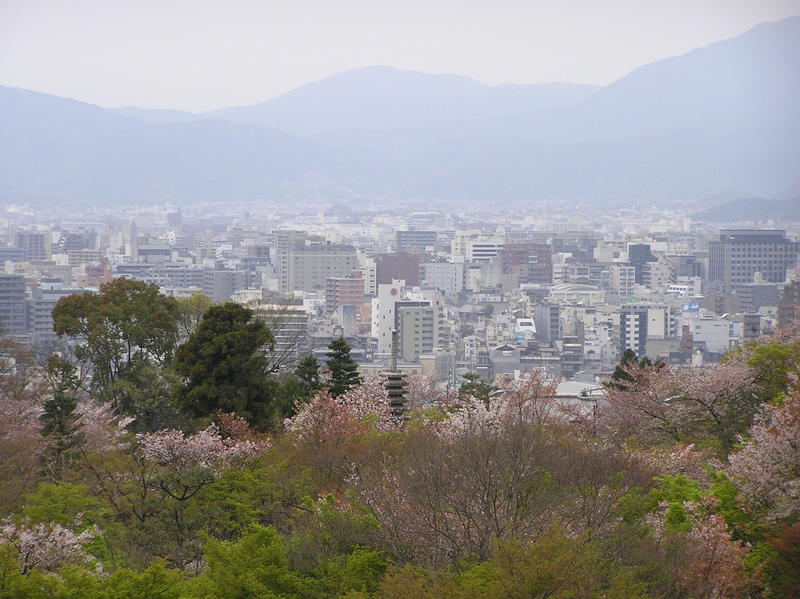 p4210094.jpg