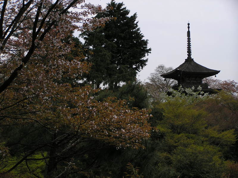 p4210095.jpg