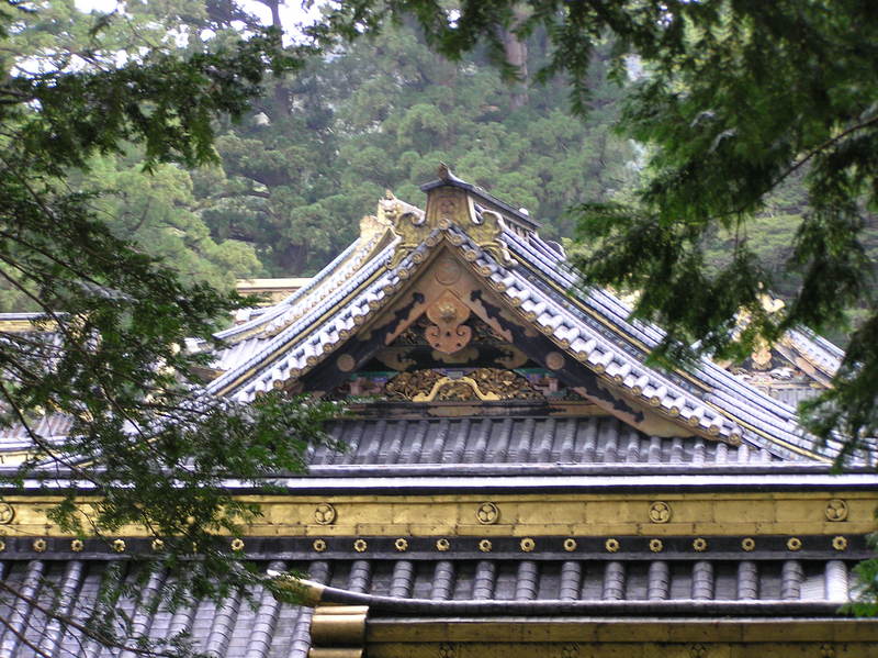p4260077.jpg