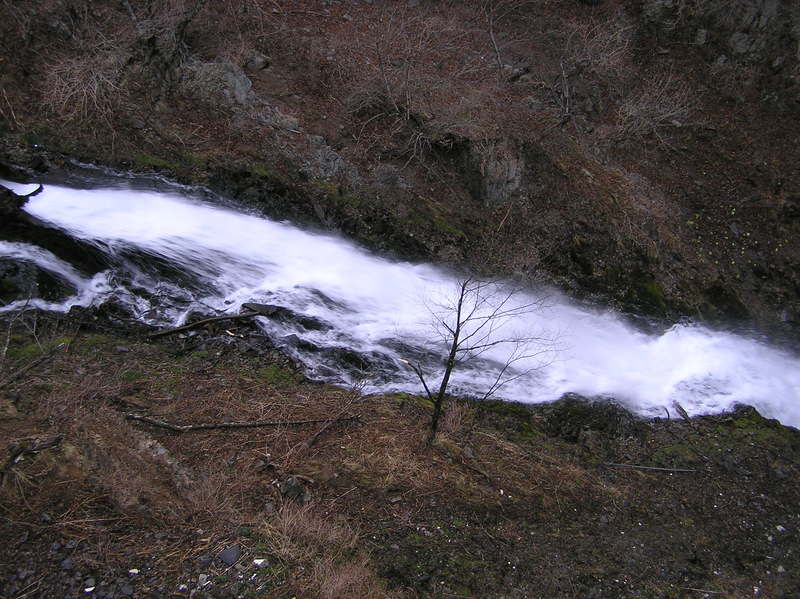 p4260091.jpg