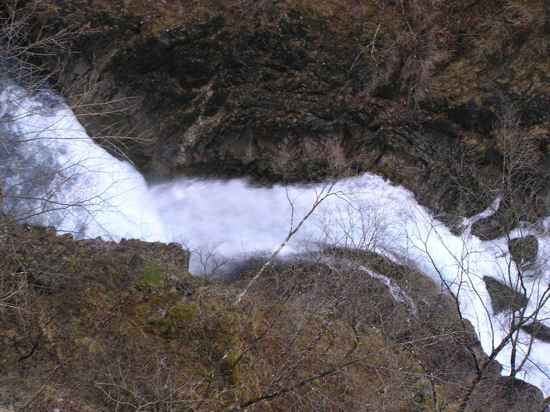 p4260095.jpg