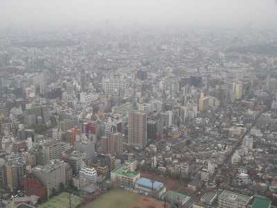p4160005.jpg