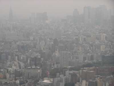 p4160007.jpg