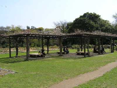 p4200179.jpg