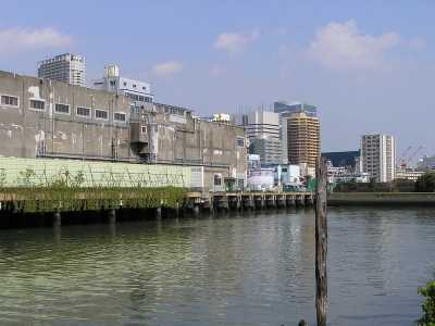 p4200205.jpg