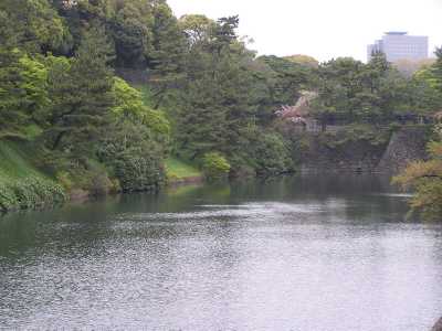 p4220117.jpg