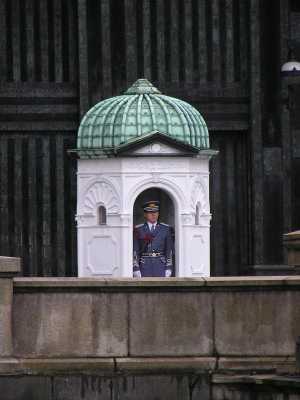 p4220118.jpg