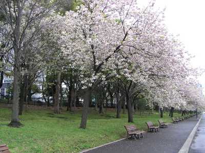 p4220134.jpg