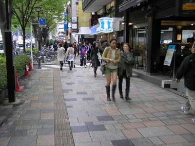 p4220142.jpg