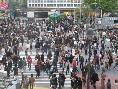 p4220183.jpg