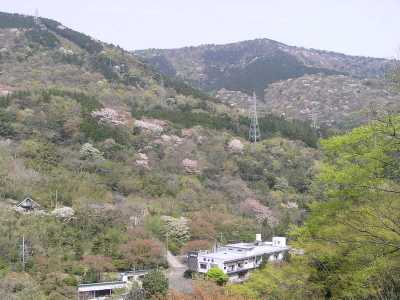 p4240255.jpg