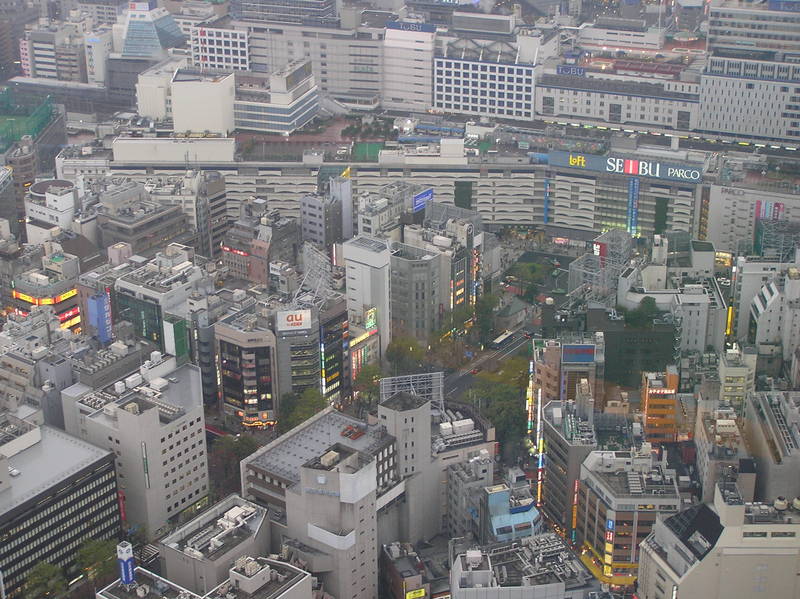 p4160008.jpg