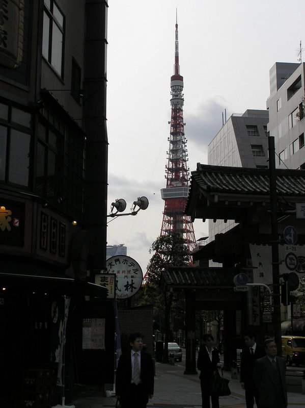p4180041.jpg