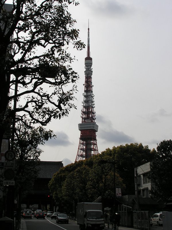 p4180043.jpg
