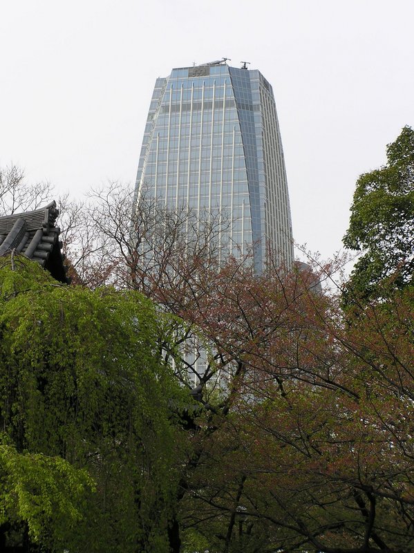 p4180051.jpg
