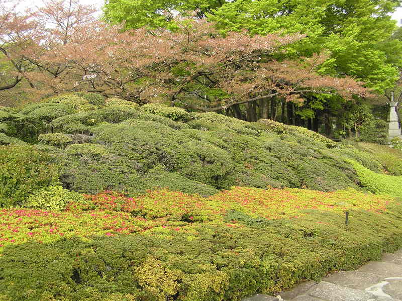 p4180055.jpg