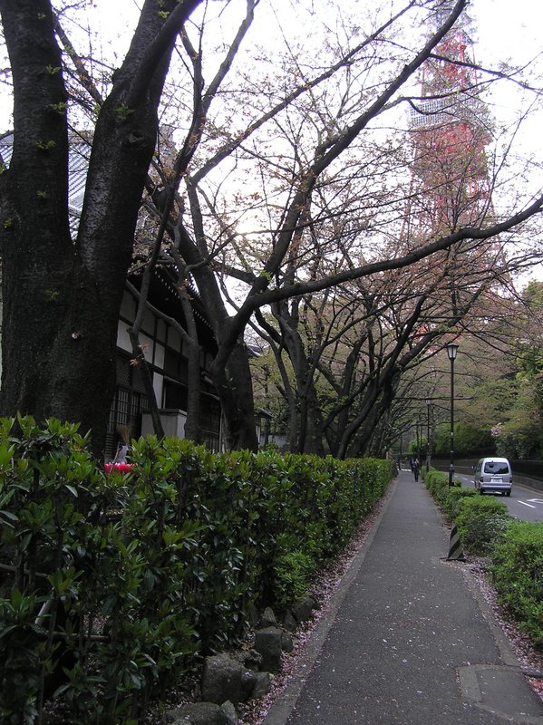 p4180065.jpg