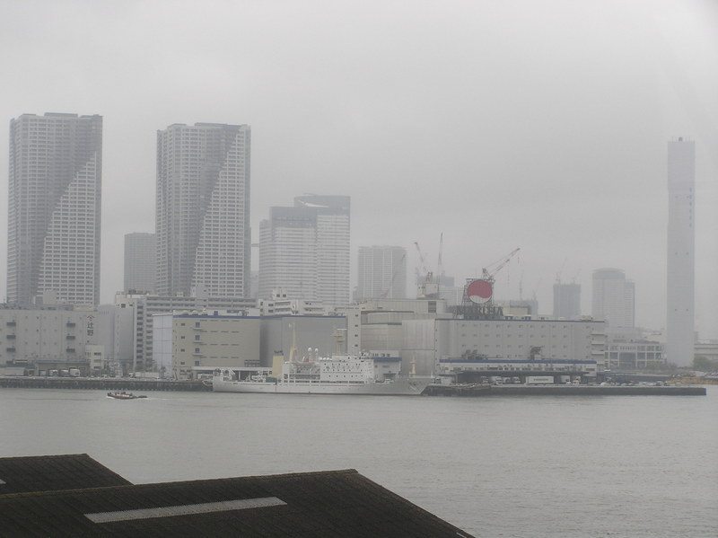 p4190119.jpg