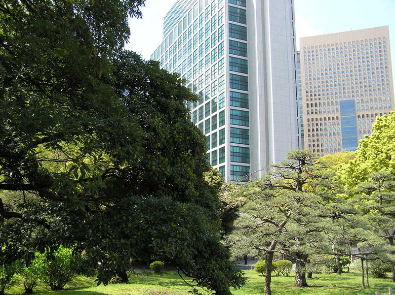p4200162.jpg