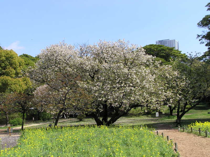 p4200175.jpg