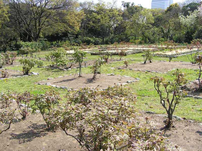 p4200177.jpg