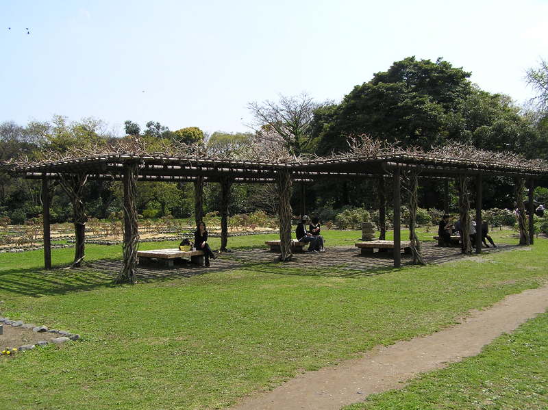 p4200179.jpg