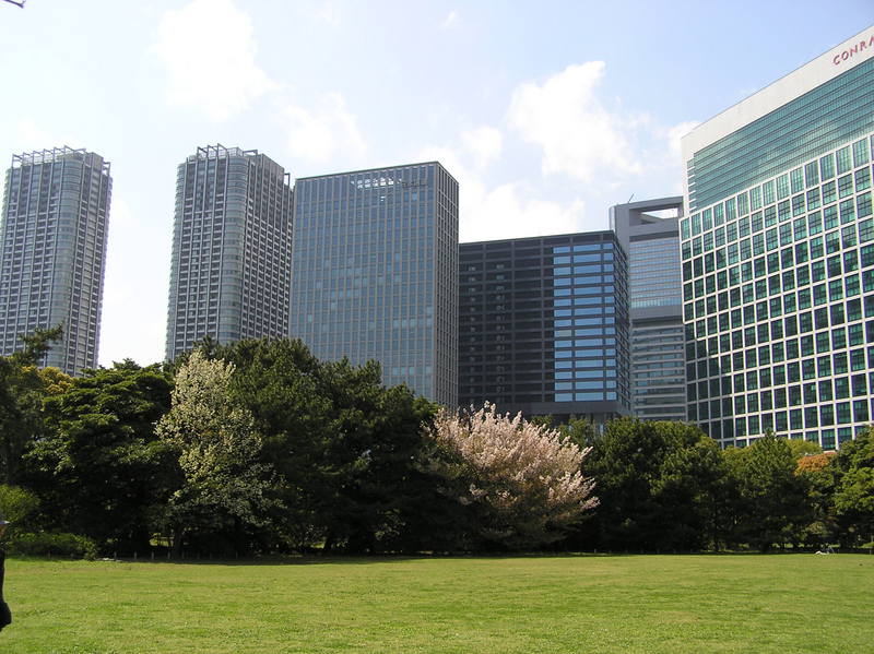 p4200181.jpg