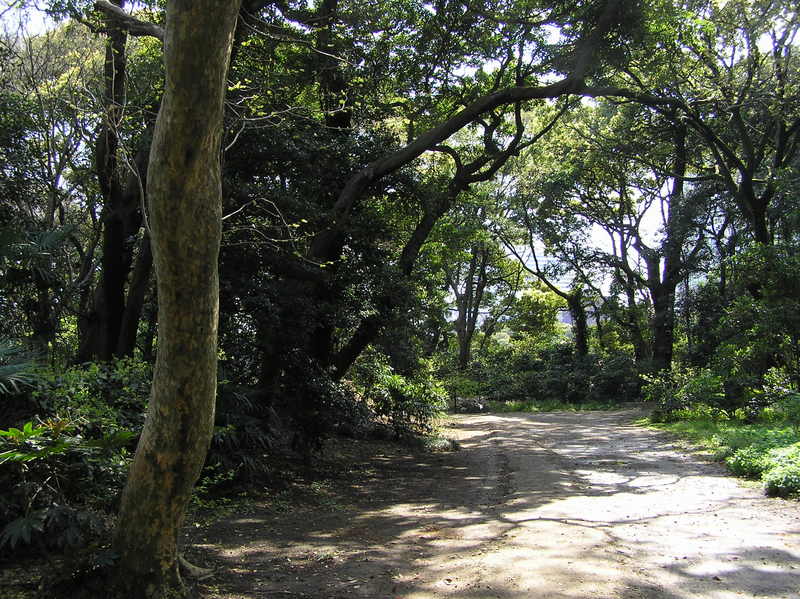 p4200190.jpg