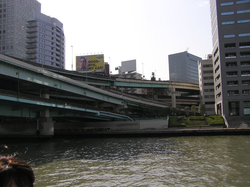 p4200217.jpg