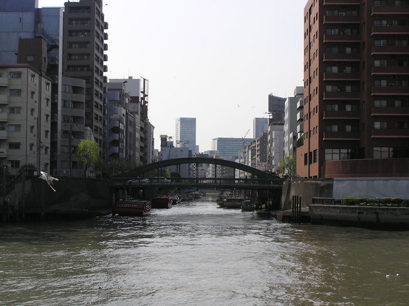 p4200223.jpg