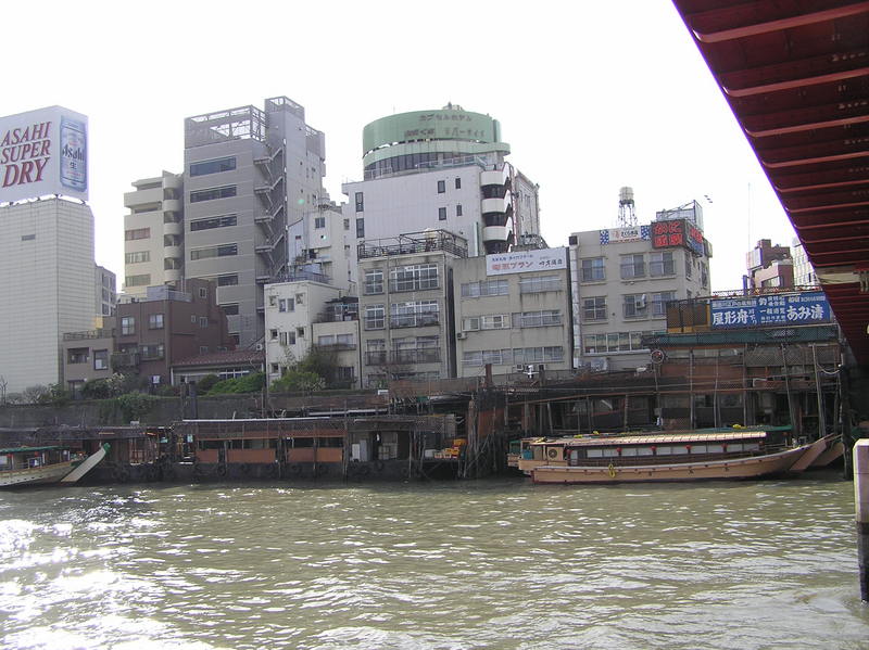 p4200230.jpg