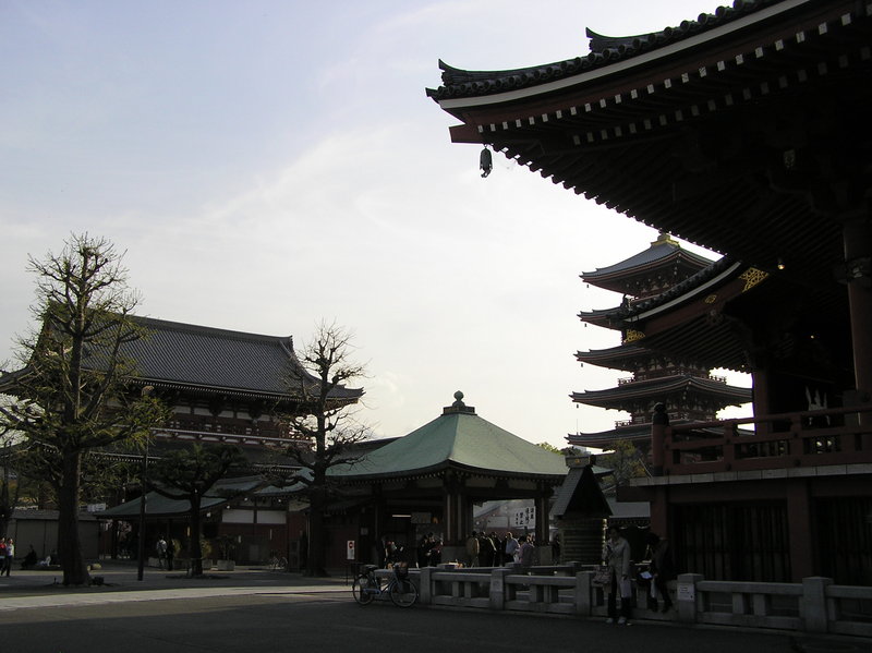 p4200254.jpg