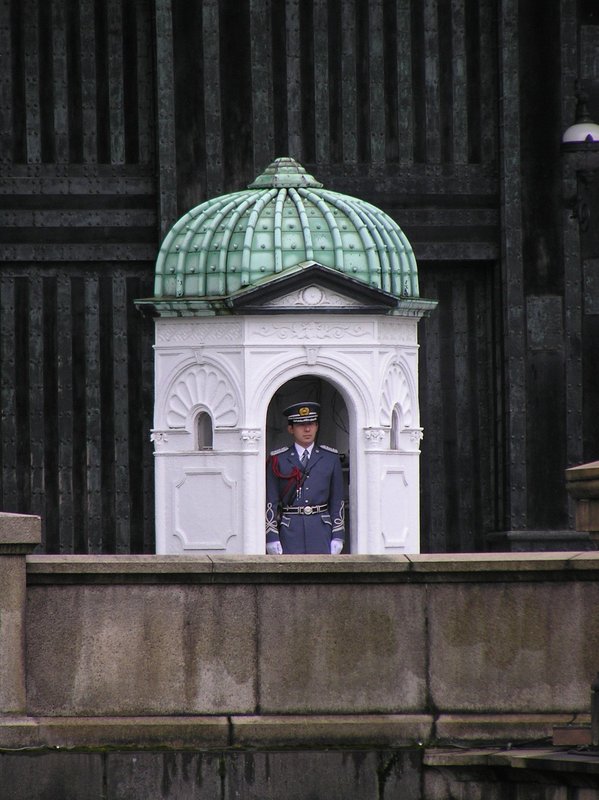 p4220118.jpg