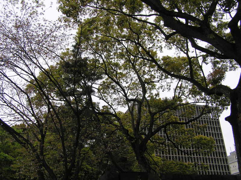 p4220132.jpg