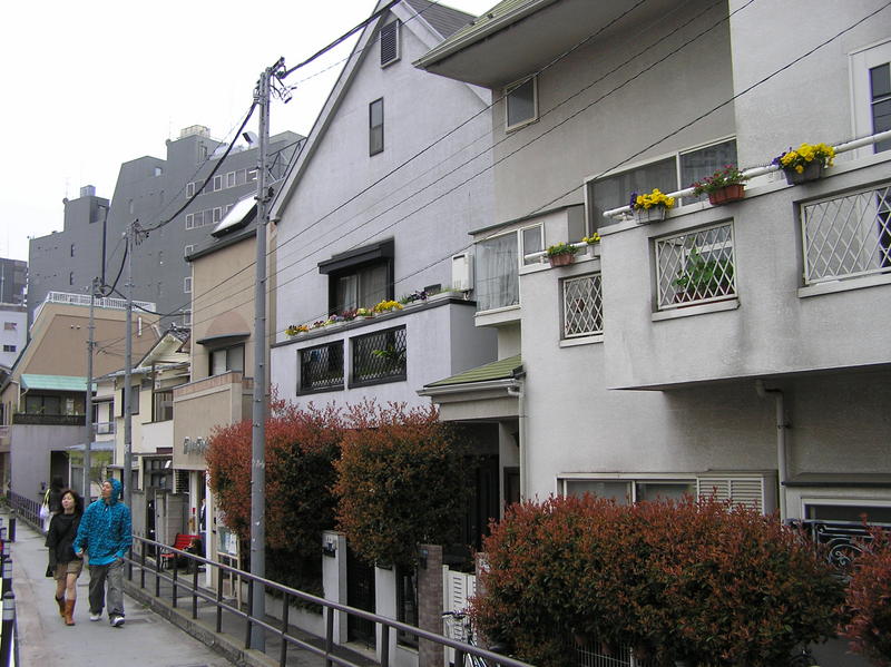 p4220178.jpg