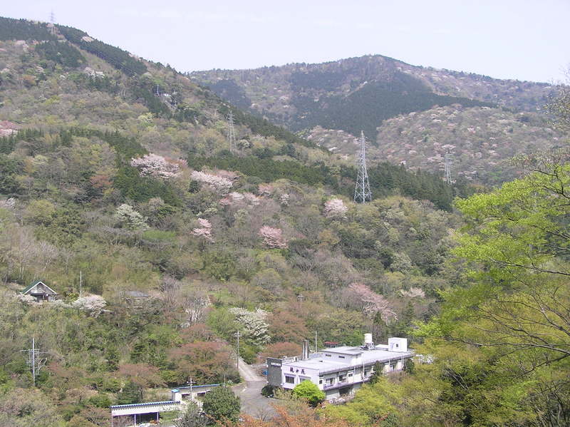 p4240255.jpg